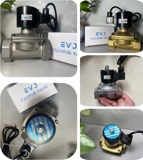 Van điện từ EVJ